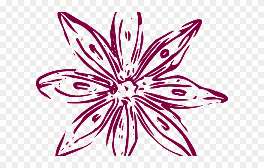 Lily Clipart Purple Lily - Png Download