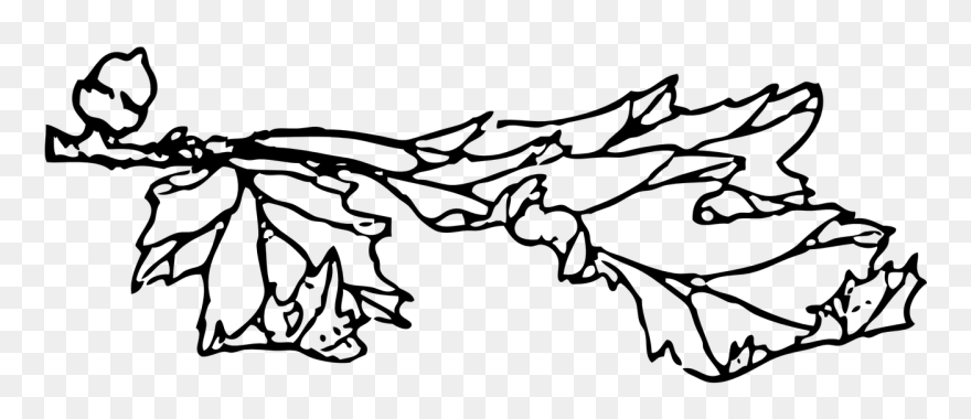 Acorn And Leaf Black White Line Art 999px 74 Clipart