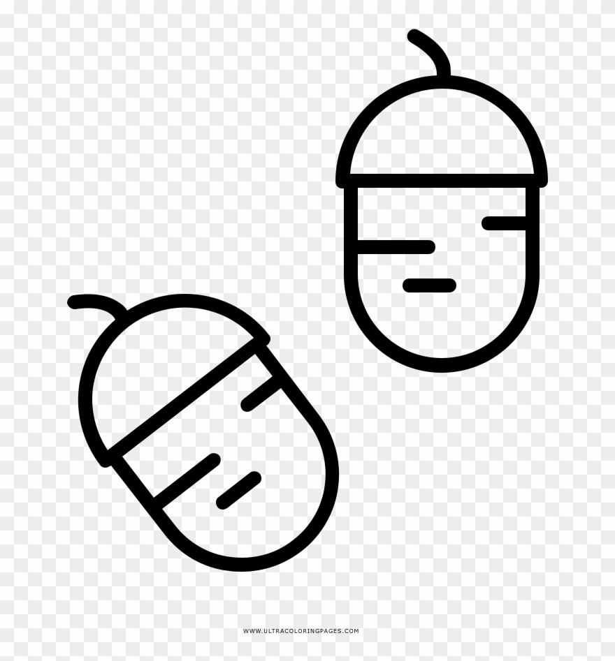 Acorns Coloring Page Clipart