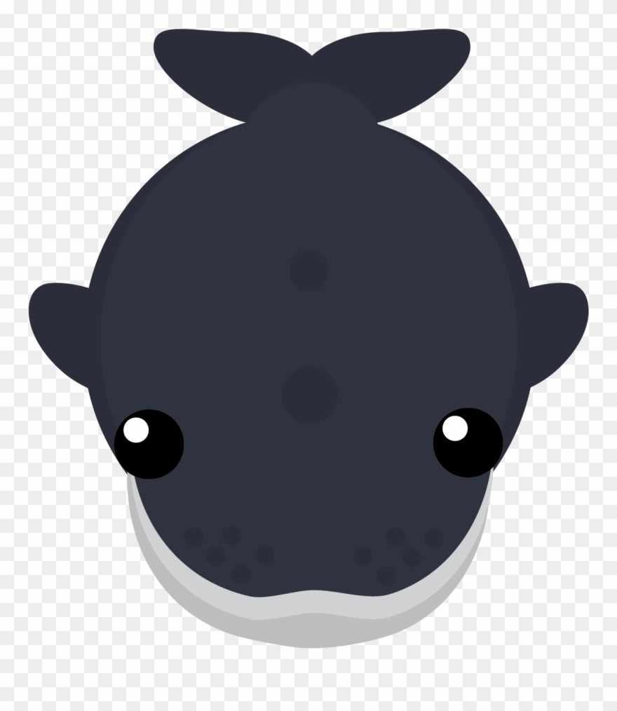 Humpback Whale Clipart