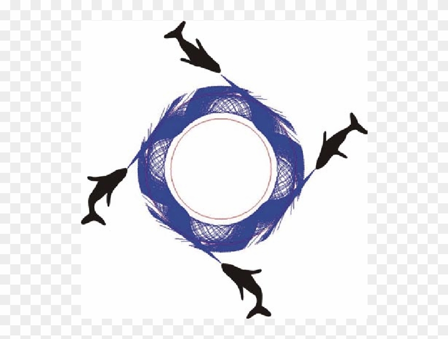 Four Whales Insonify An Annular Bubble Net Having The Clipart