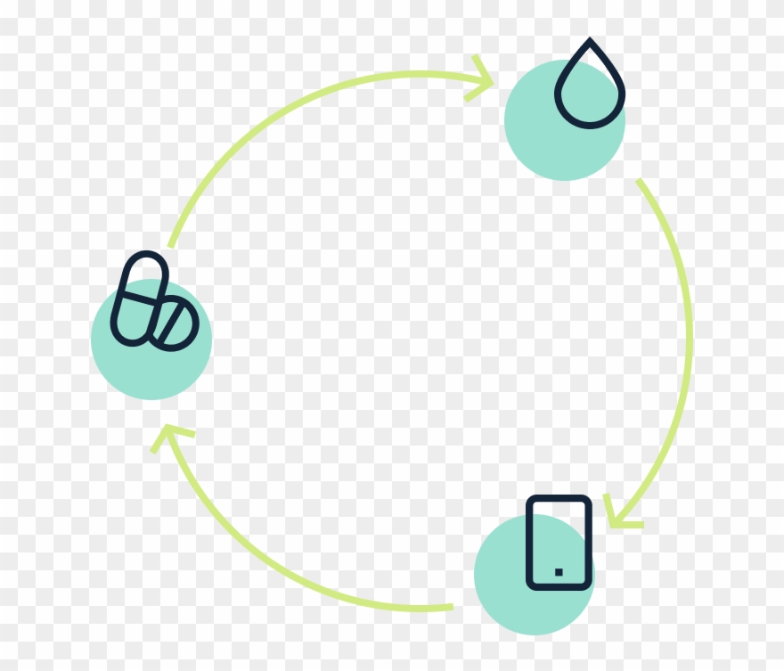 Graphic Showing The Cycle Of Testing, Receiving Your Clipart