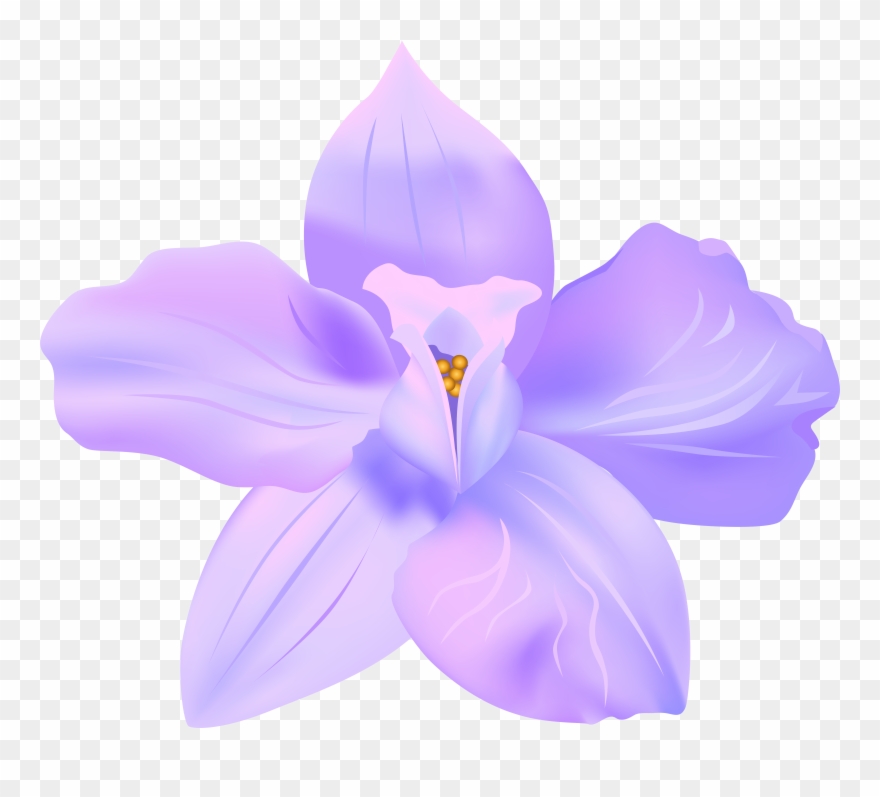 Violets Clip Art - Png Download
