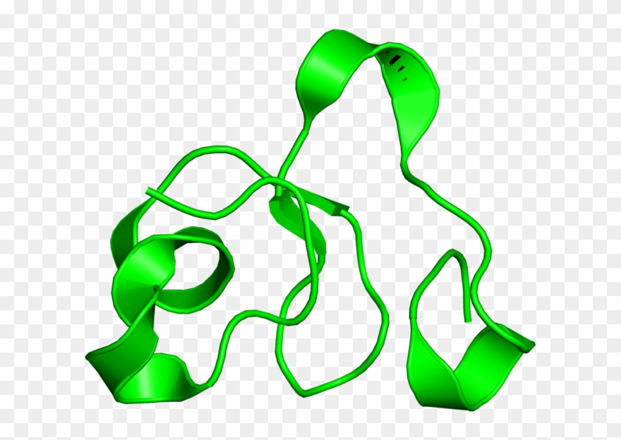 <div Class='caption-body'>1 Copy Of Cath Domain < Clipart