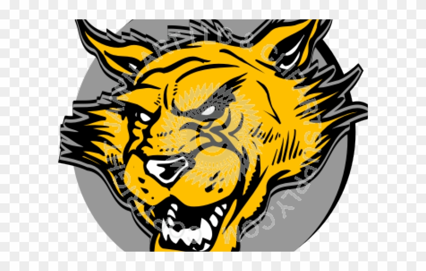 Head Clipart Wildcat - Png Download