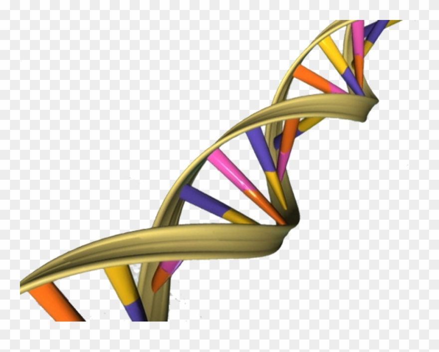 Can Most Americans Be Identified By A Relative's Dna Clipart