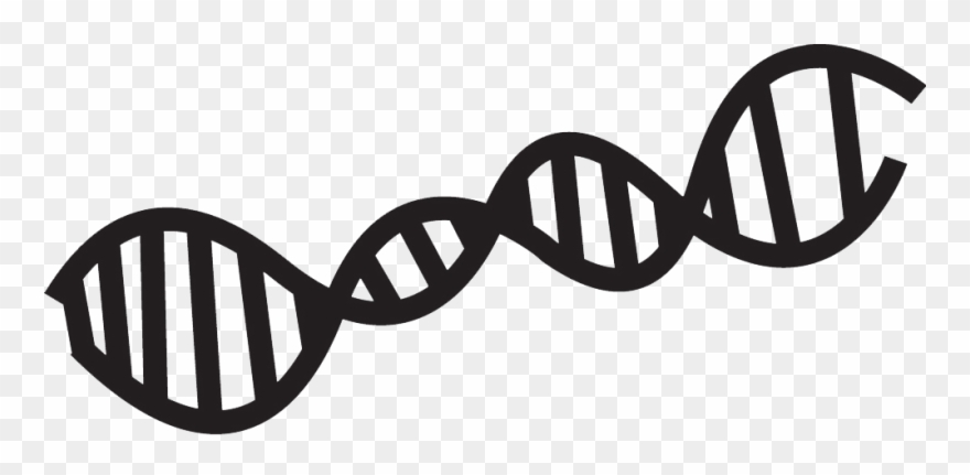 Dna - Clipart
