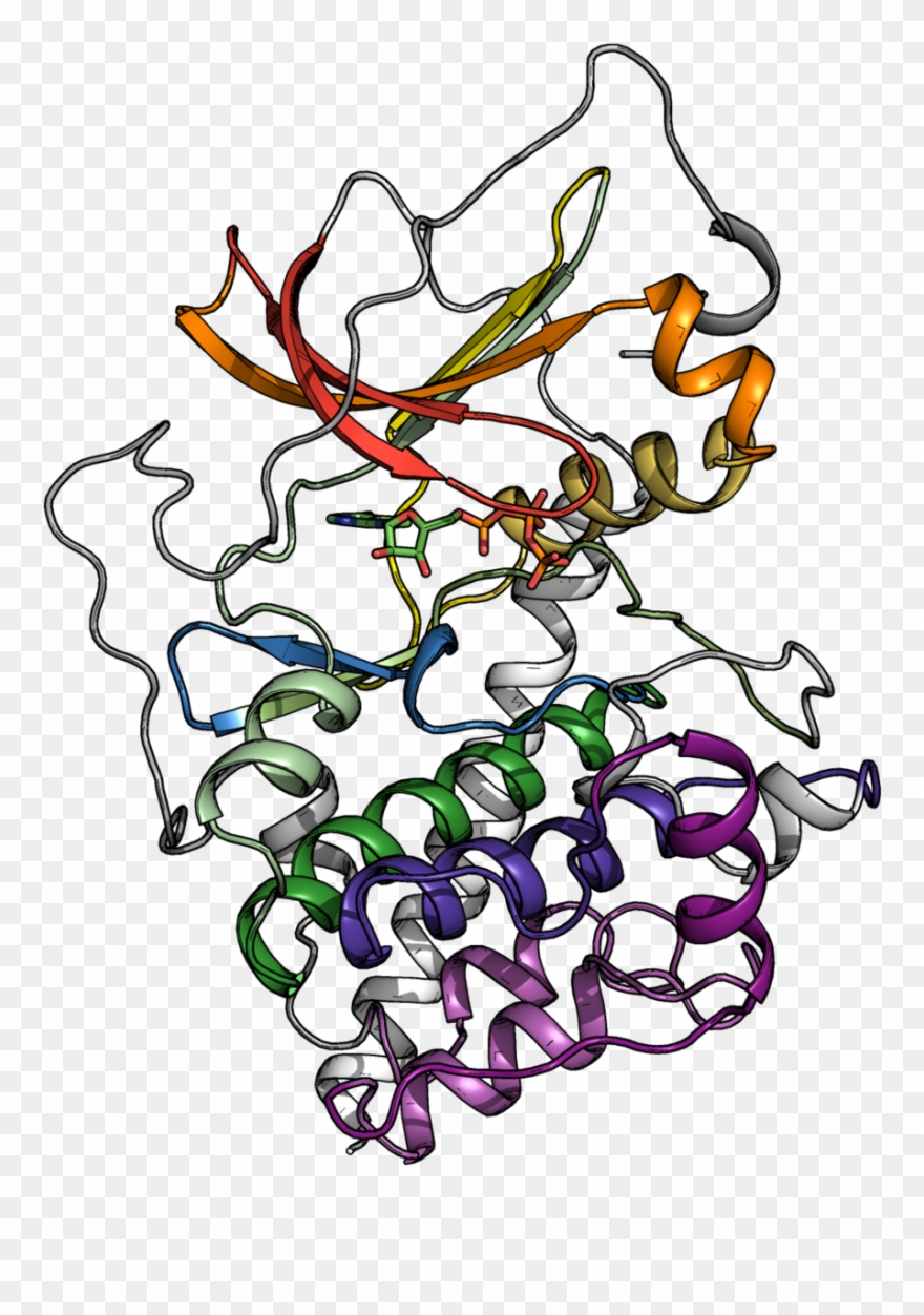 This Approach Is Applied To Understand How Disease Clipart