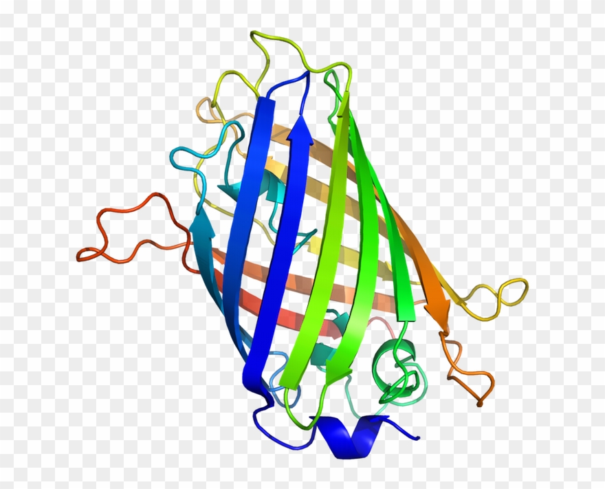 Biological Information And Intelligent Design Clipart