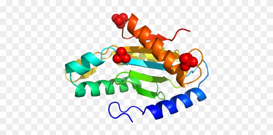 Eal/ggdef Domain Protein Pdb Model Clipart