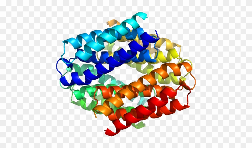 Uncharacterized Protein Pdb Model Clipart