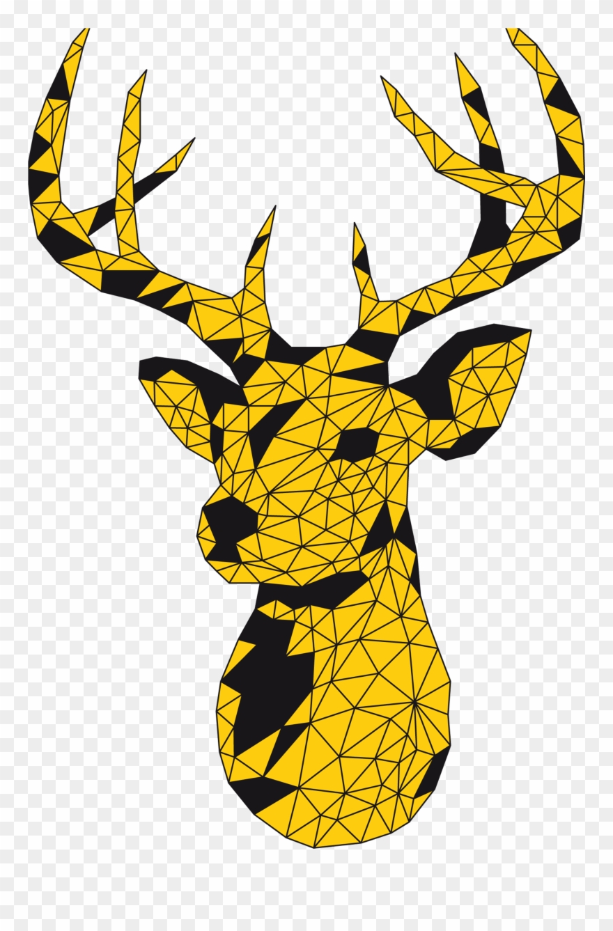 Stroke Art Fair Urban Art Praterinsel Exhibition Clipart