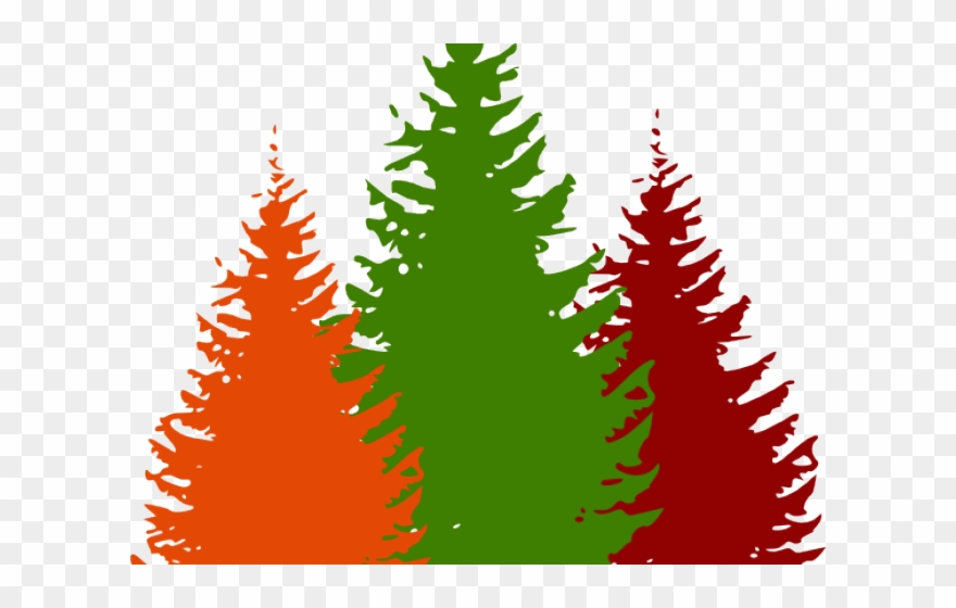 Pine Tree Clipart Forest - Png Download