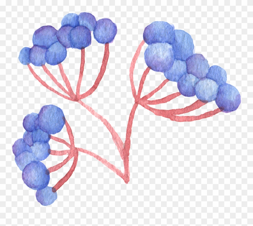 Grape Leaves Transparent Decorative Clipart