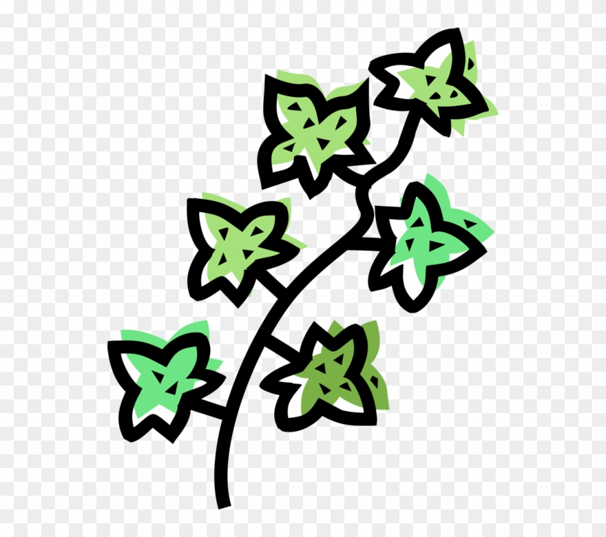 Plant Leaves Image Illustration Clipart