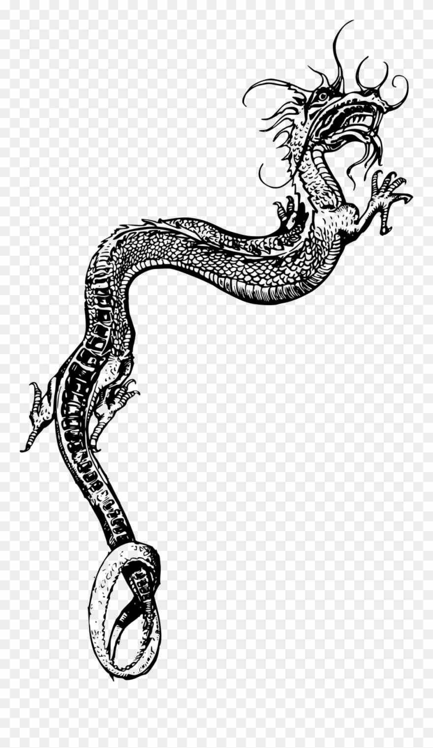 Chinese Dragon Outline Free Download Best Chinese Dragon Clipart