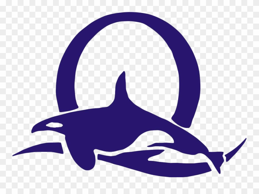 Orca Clipart