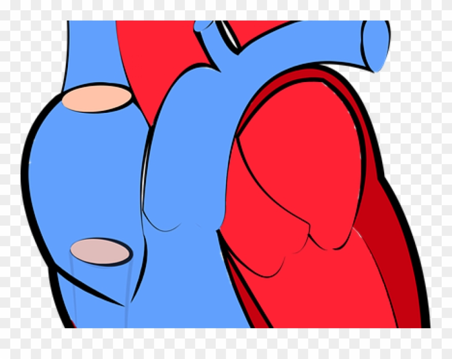 Children's Hospital Of Los Angeles And Usc Researchers Clipart