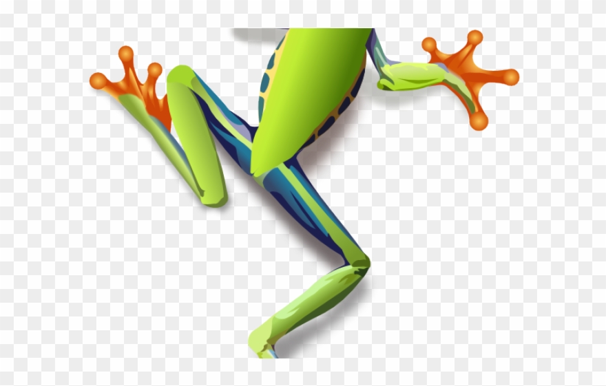 Red Eyed Tree Frog Clipart Small Frog - Png Download