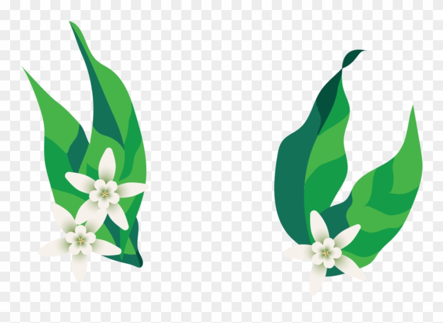 Top Shelf Ethiopia Yachi Kachise Clipart