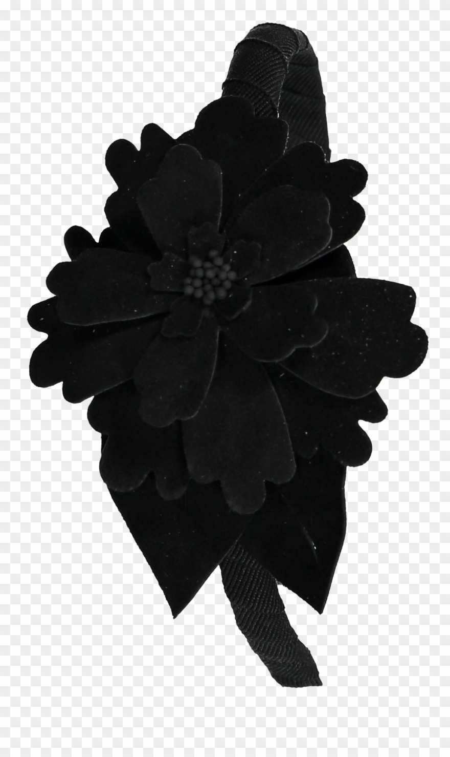 Headband Clipart Jasmine - Png Download