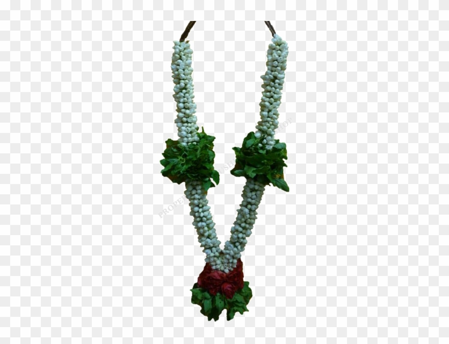 Jasmine Garland Png Free Download Clipart