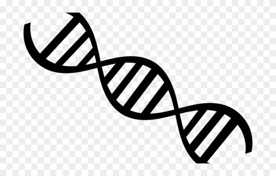 Biology Clipart