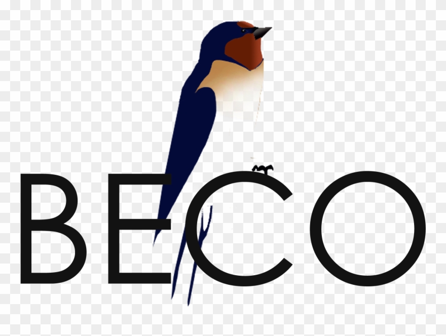 Bird Ecology And Conservation Ontario Clipart