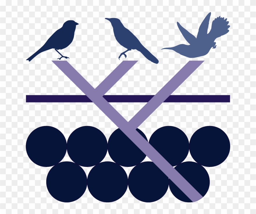 As A Biologist, I Studied The Production And Evolution Clipart