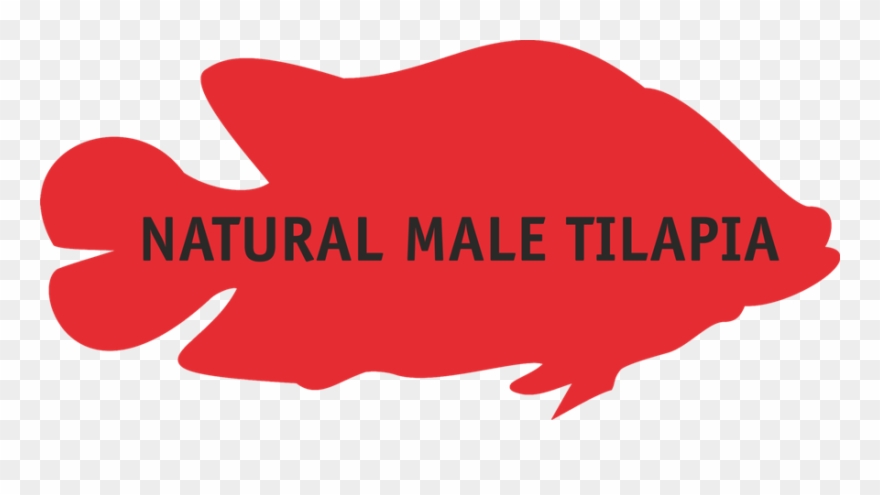 Our Team Consists Of Well Trained Biologists And Aquaculturists Clipart