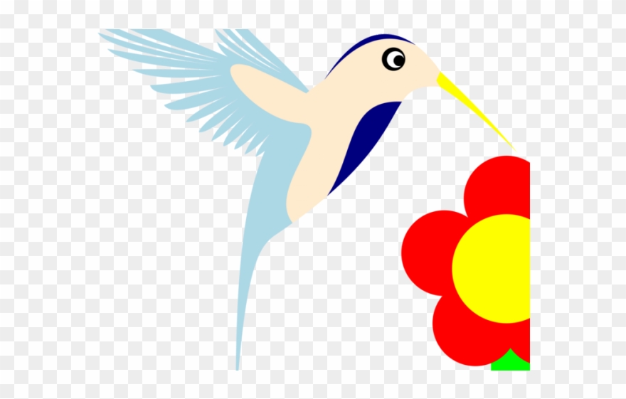 Bird Of Prey Clipart Hummingbird - Png Download
