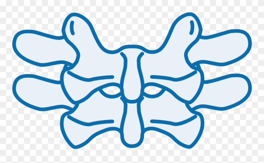 Spine Icon Clipart
