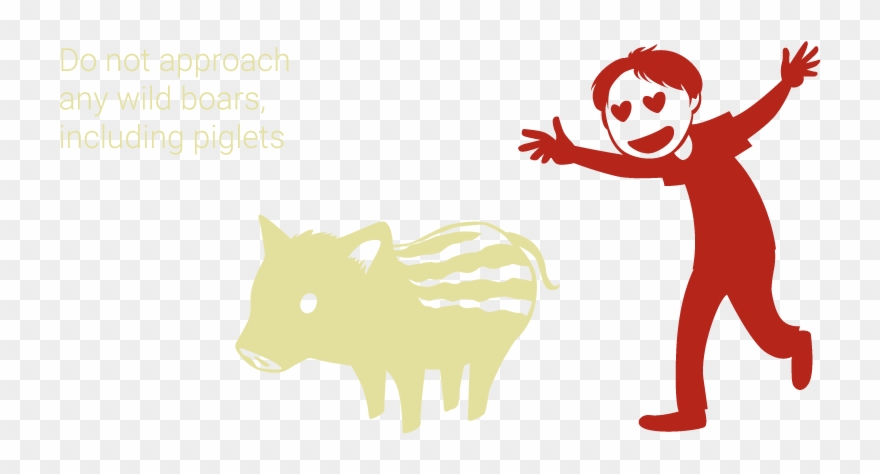 When You Meet A Wild Boar Clipart