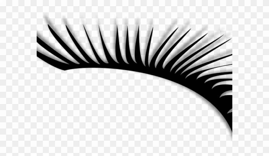 Drawn Eyelash Black And White Clipart (2925356) PinClipart