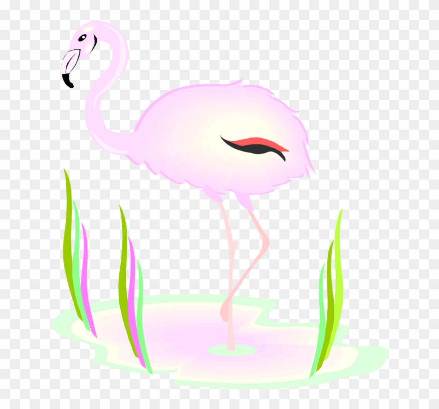 Funny Flamingo Clipart