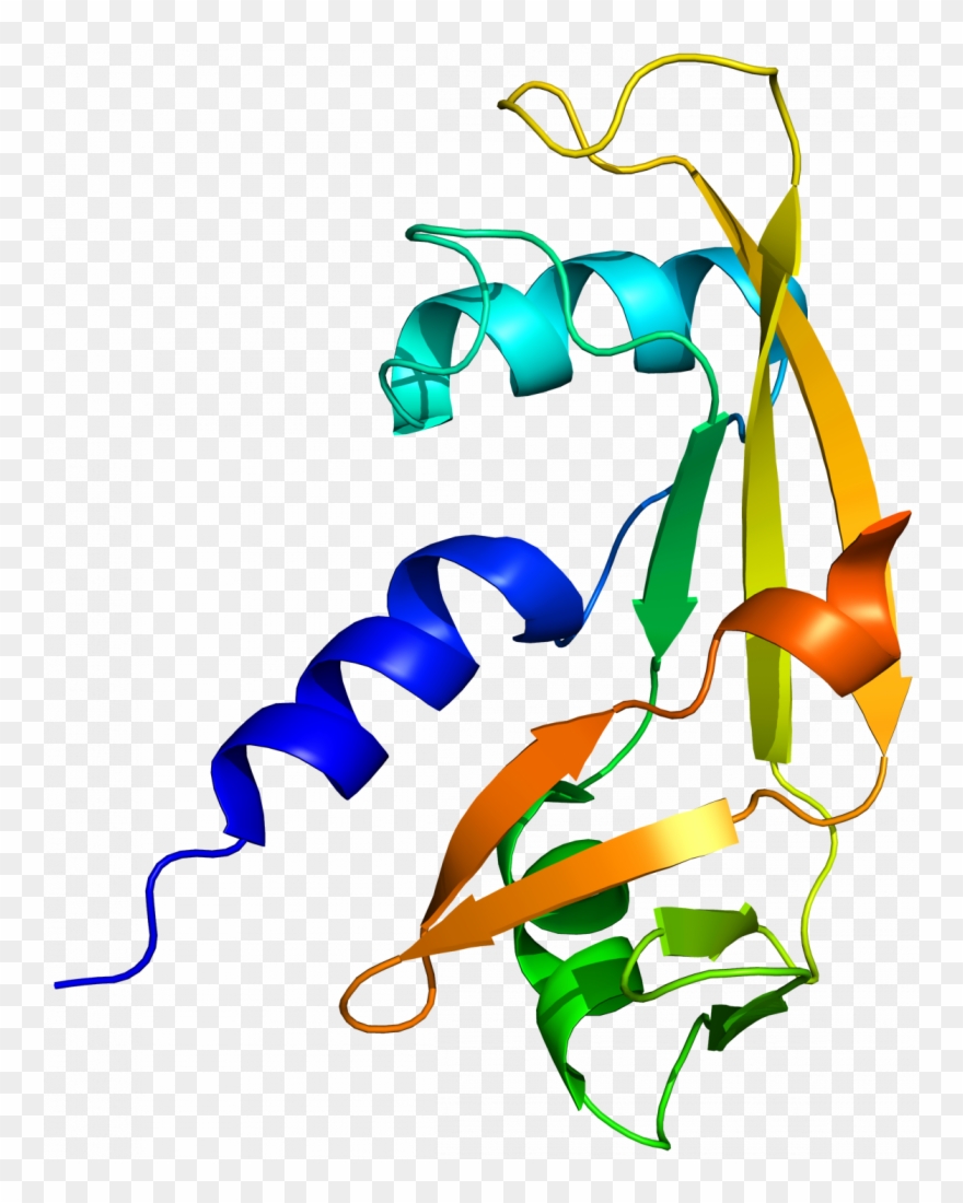 Study Gives Clues To Causes Of Motor Neurone Disease Clipart