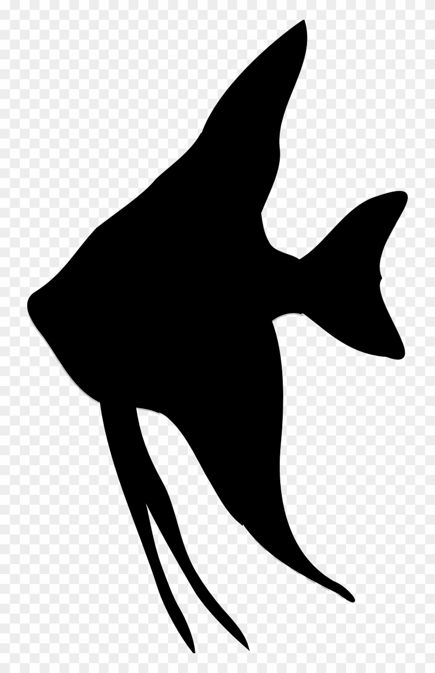 Angelfish 2-303159 Clipart