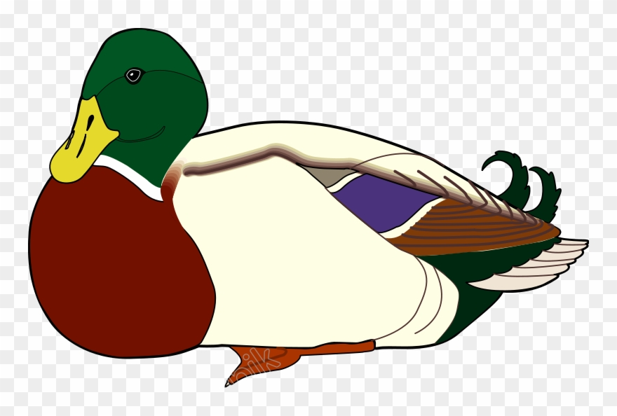 Vector Duck Flying Bird Clipart
