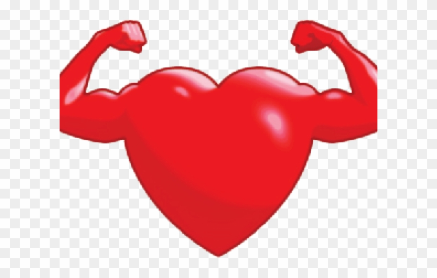 Organs Clipart Heart Muscle - Png Download