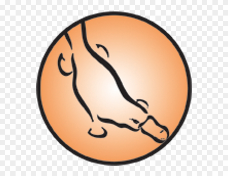 The Template Below, The Platypus, Is The Very Oldest Clipart