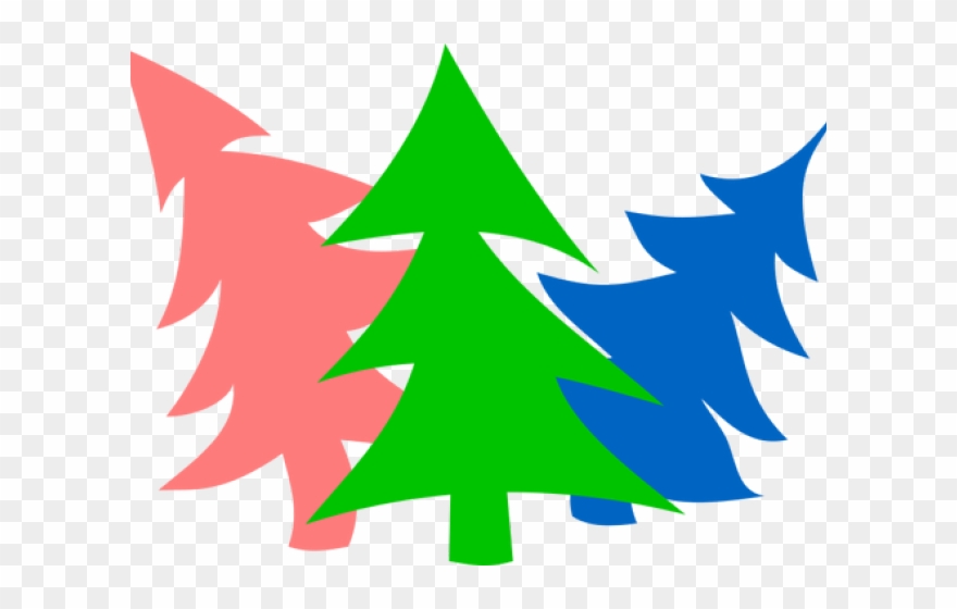 Fir Tree Clipart Symmetrical Tree - Png Download