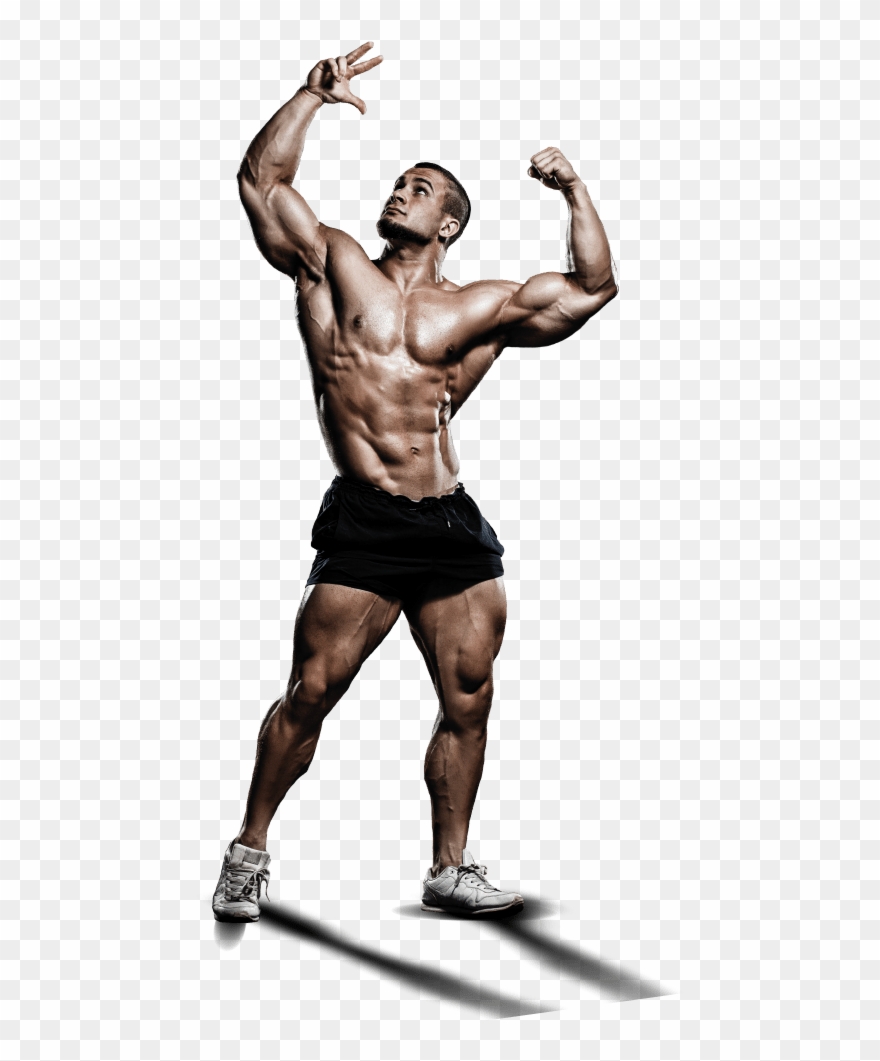 Bodybuilding Png Clipart