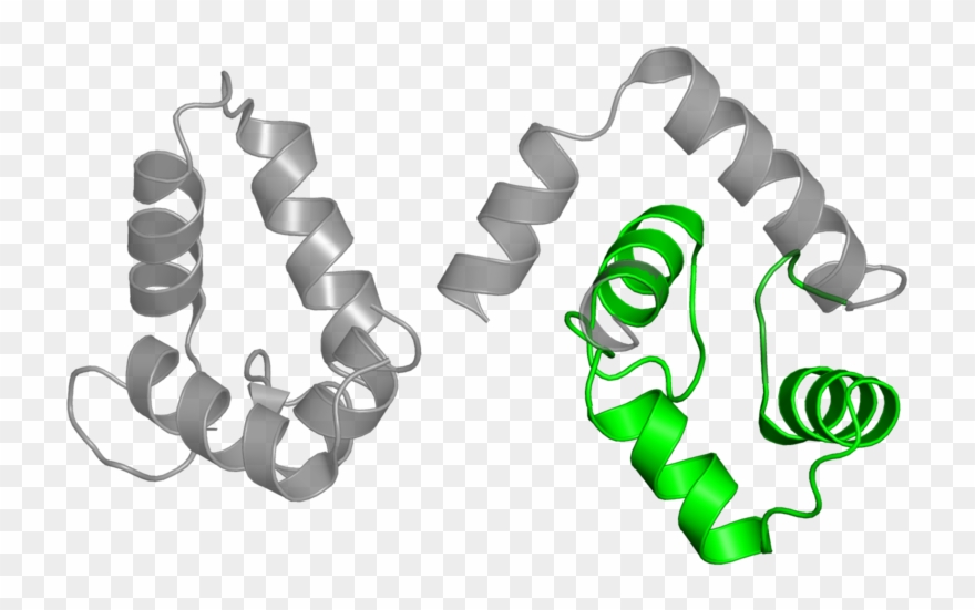 <div Class='caption-body'>1 Copy Of Pfam Domain Clipart