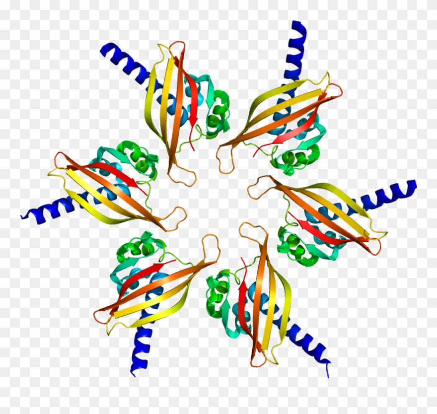 Lisa's Hmb300 Glog Clipart