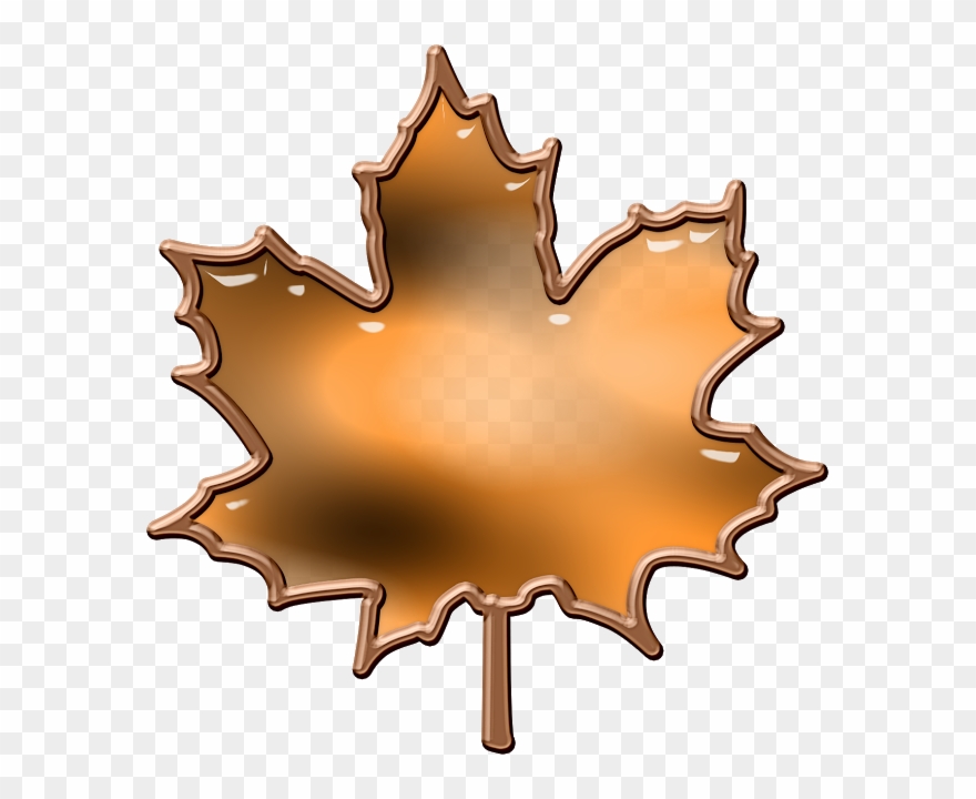 Picasa Web Albums Clipart