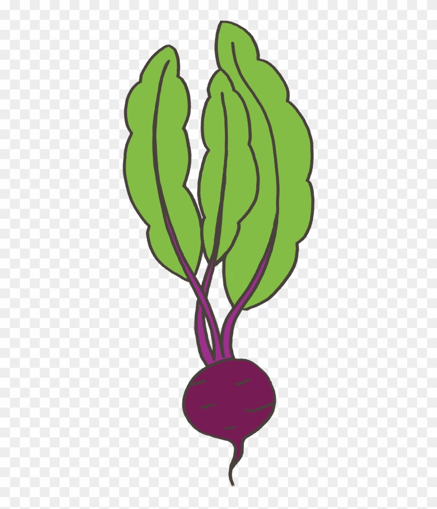 Big Beet Clipart
