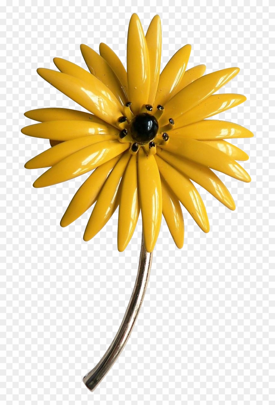 This Is A Very Cheerful Bright Yellow Mum Flower With Clipart
