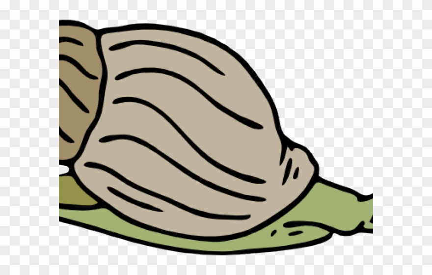 Mollusc Clipart Lion - Png Download