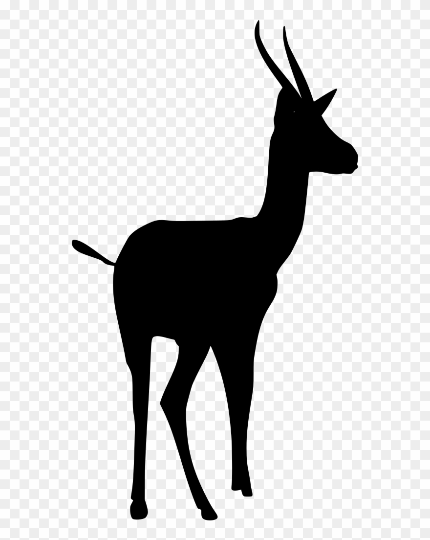 Info Clipart