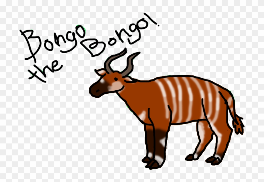 Bongo The Bongo ,,,,,an Antelope Clipart